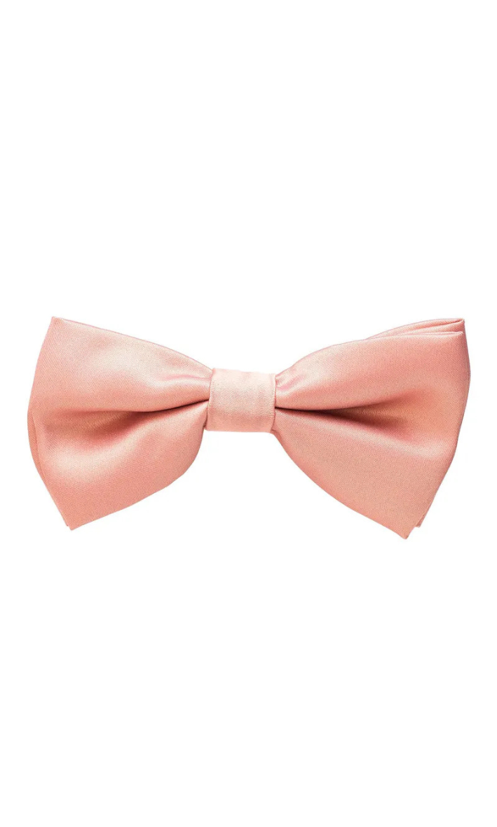 GRAVATA BORBOLETA LISA