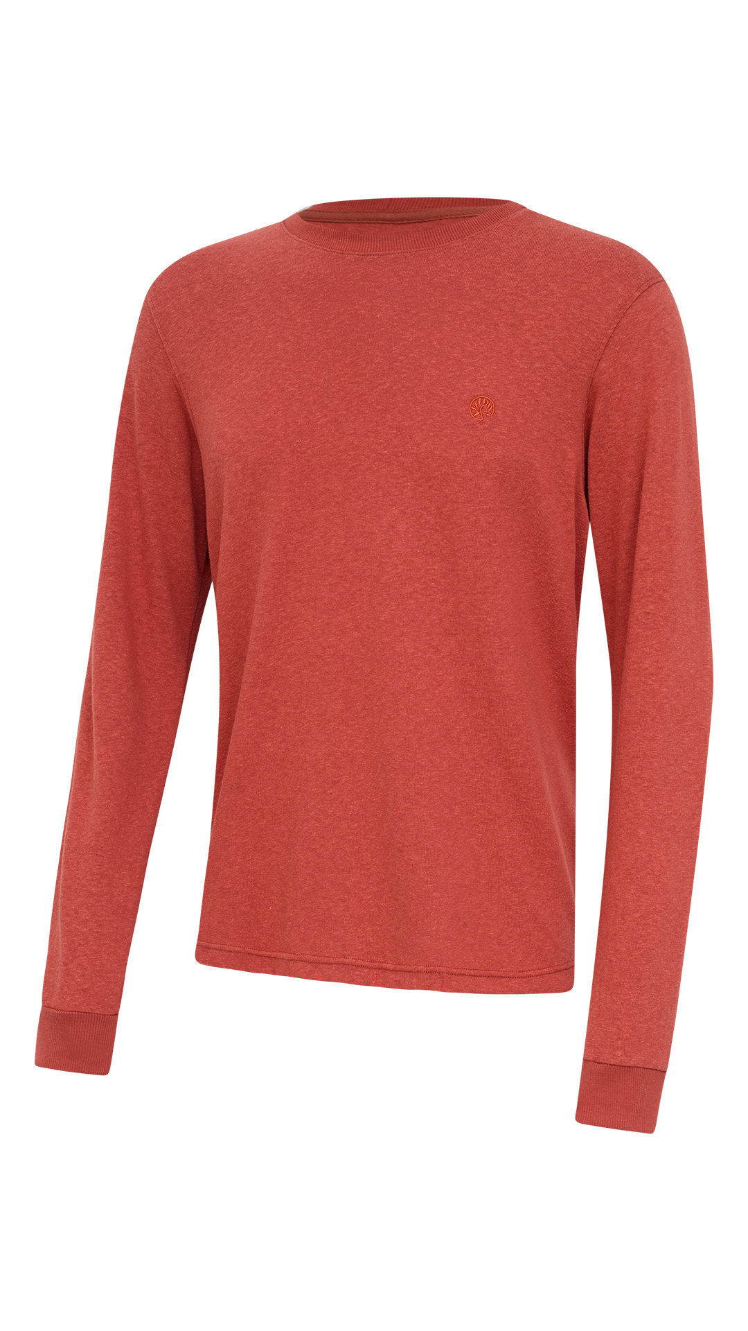 CAMISETA MANGA LONGA GOLA CARECA