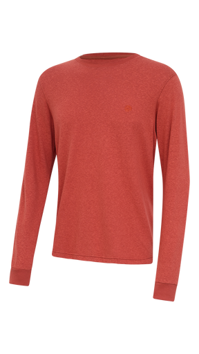CAMISETA MANGA LONGA GOLA CARECA