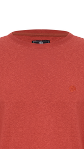 CAMISETA MANGA LONGA GOLA CARECA