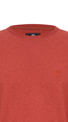 CAMISETA MANGA LONGA GOLA CARECA