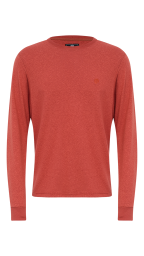 CAMISETA MANGA LONGA GOLA CARECA