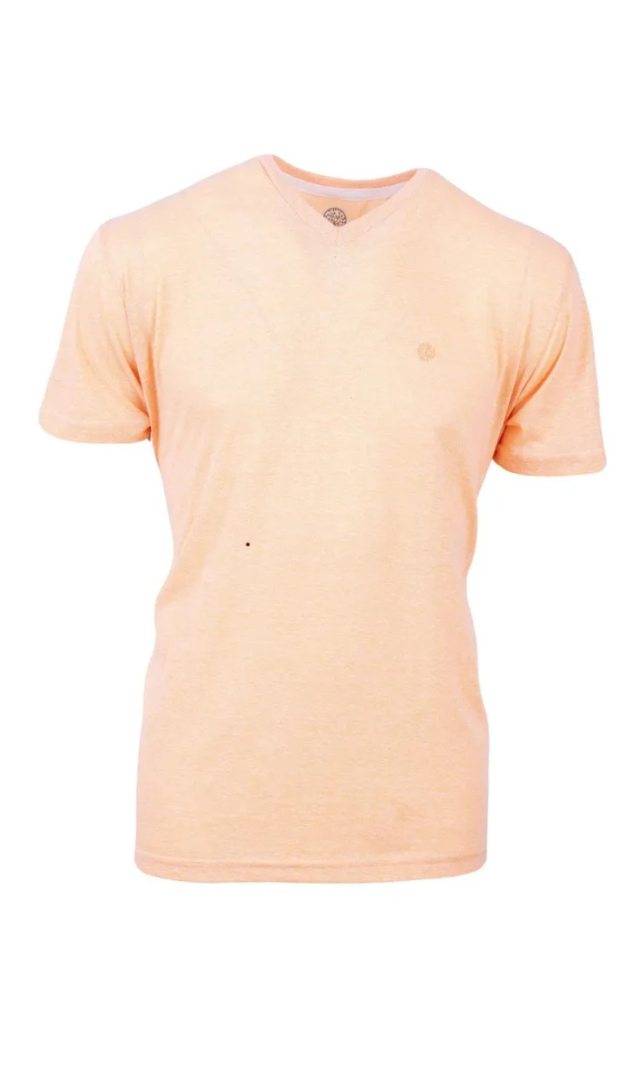 CAMISETA MESCLA
